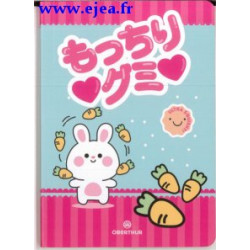 Carnet A6 Lapin Mochi Oberthur