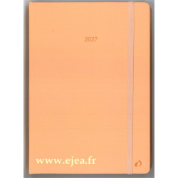 Agenda Daily 21 Color 2027...