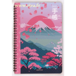 Agenda 2027 Tokyo 25 Mont Fuji
