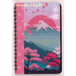 Agenda 2027 Tokyo 15 Mont Fuji