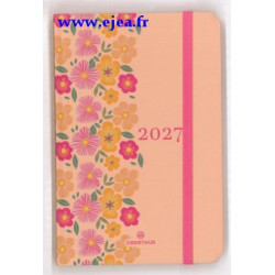 Agenda 2027 Anahita 15 Pêche